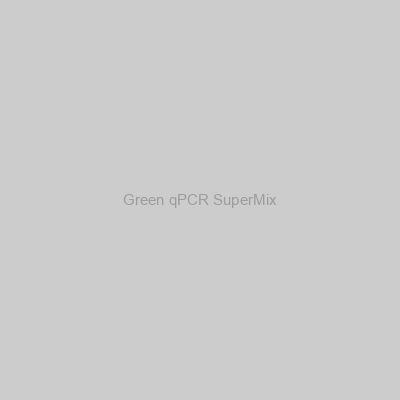 Abbexa - Green qPCR SuperMix